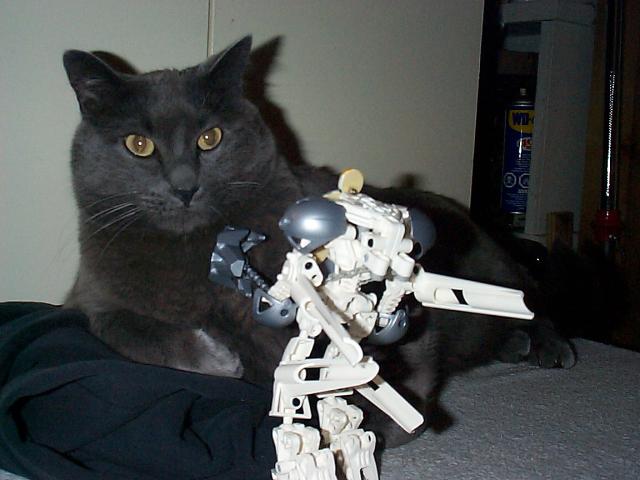 jackbill02.jpg