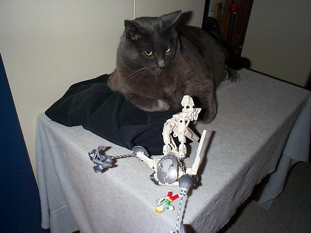 jackbill03.jpg