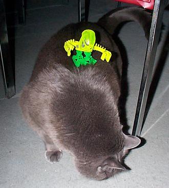 jackw03.jpg