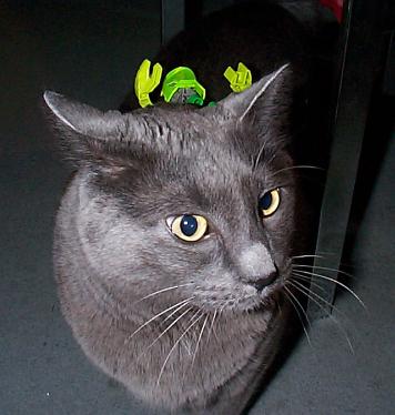 jackw04.jpg