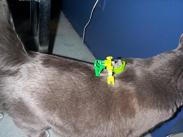 jackw05.jpg