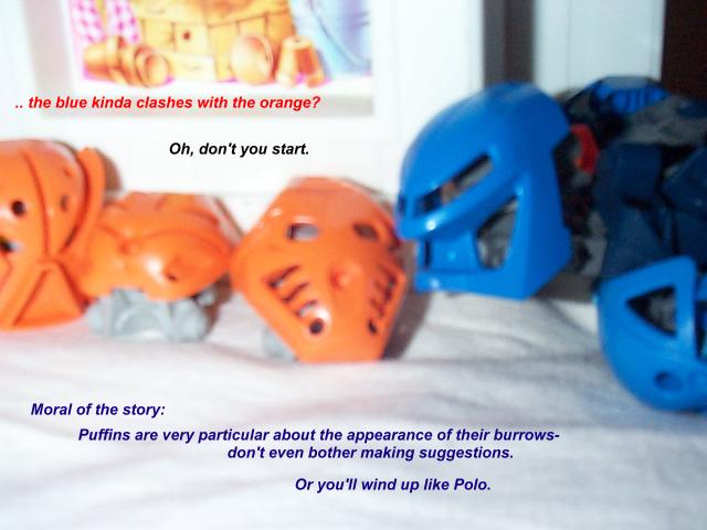 pumpkins06.jpg