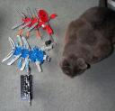 bugstuff02.jpg