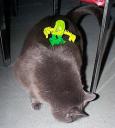 jackw03.jpg