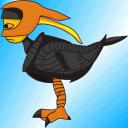 orthano01.gif