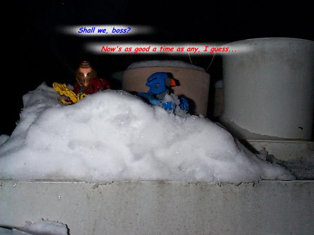 snowwar08.jpg