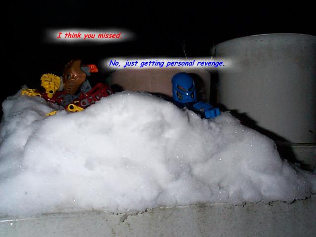 snowwar13.jpg