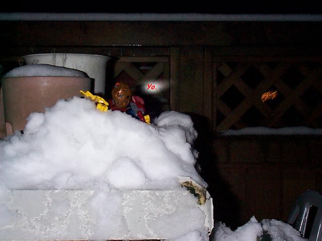 snowwar19.jpg
