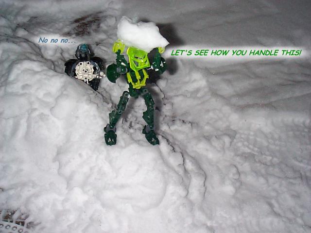 snowwar20.jpg