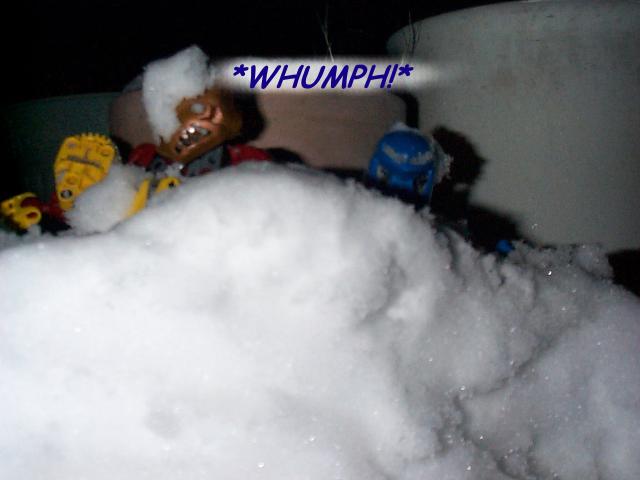 snowwar21.jpg