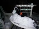 SnowWar