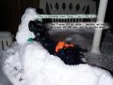 snowwar06.jpg