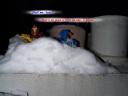 snowwar08.jpg
