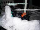 snowwar09.jpg