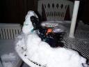 snowwar12.jpg