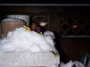snowwar19.jpg