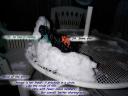 snowwar24.jpg
