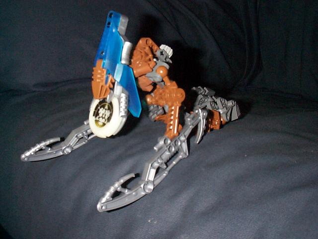 zadakh01.jpg
