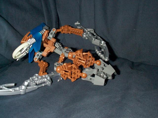 zadakh03.jpg