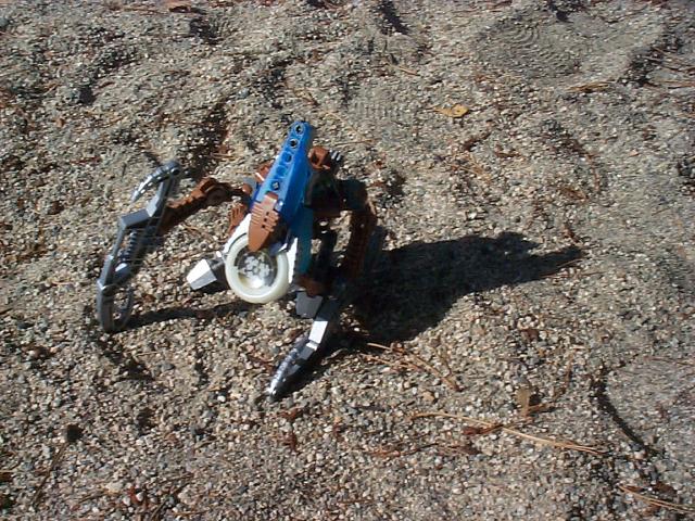 zadakh13.jpg