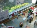 dscf1167.jpg