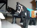 dsc00914.jpg