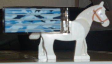 dsc00891.jpg