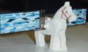 dsc00890.jpg