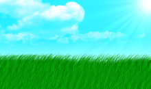 newgrass.png