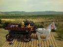 cart