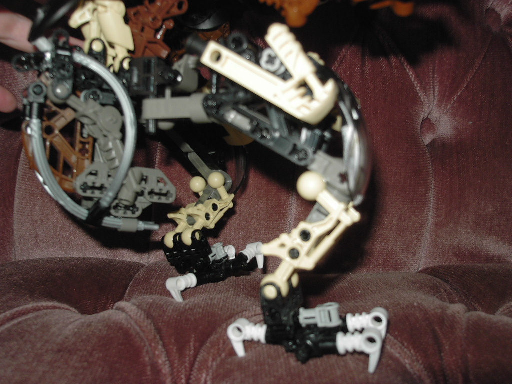 image008.jpg