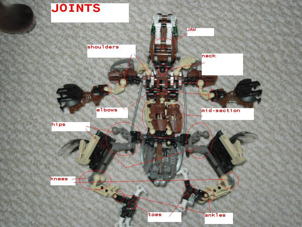 joints.jpg