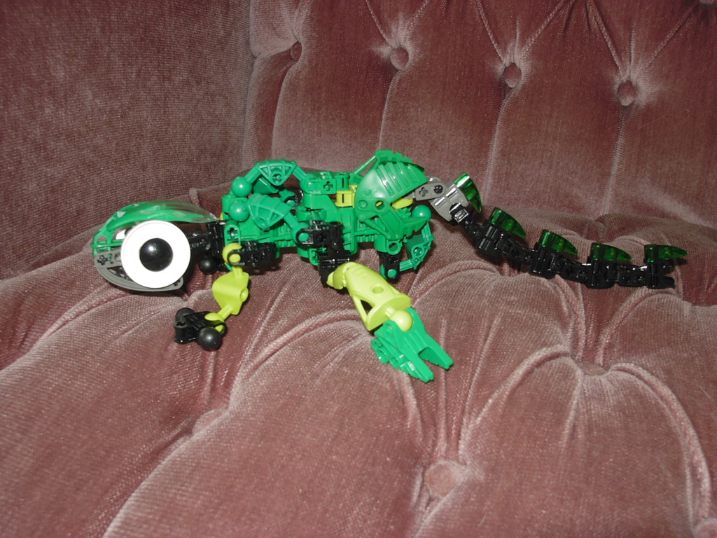 image007.jpg