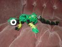 gecko