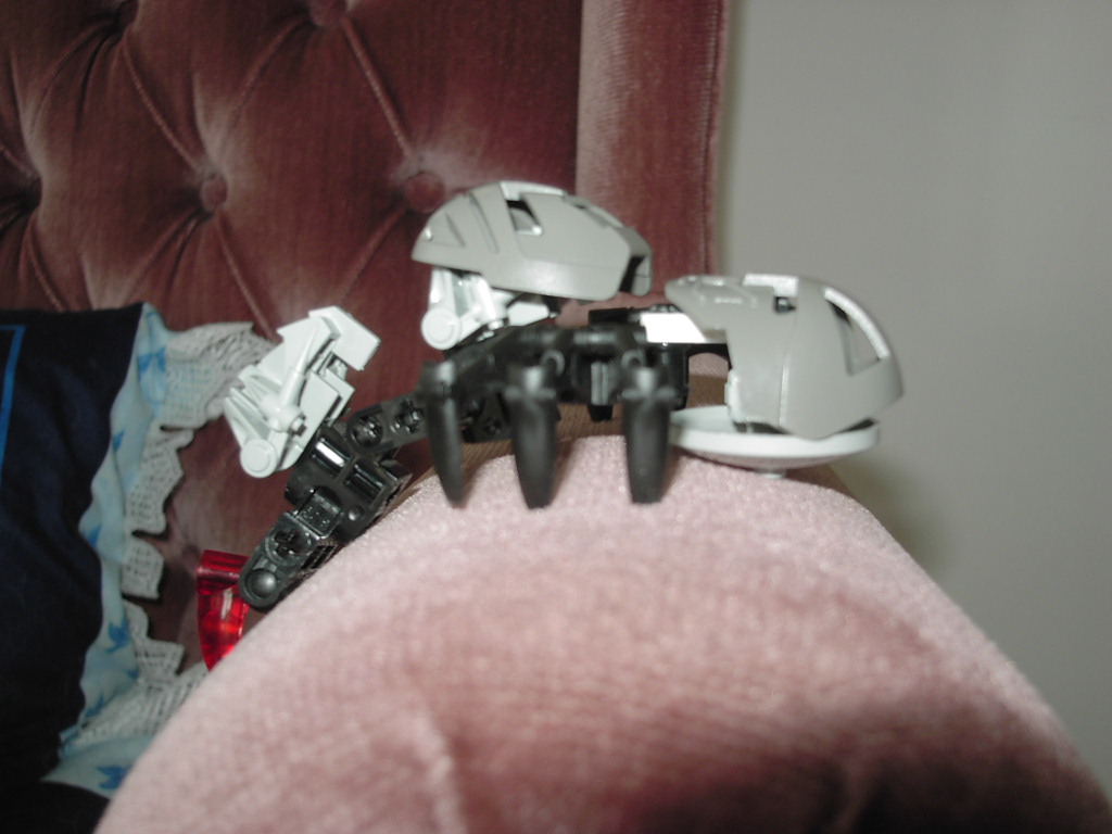 image006.jpg