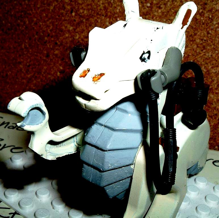 taun_taun_1.jpg