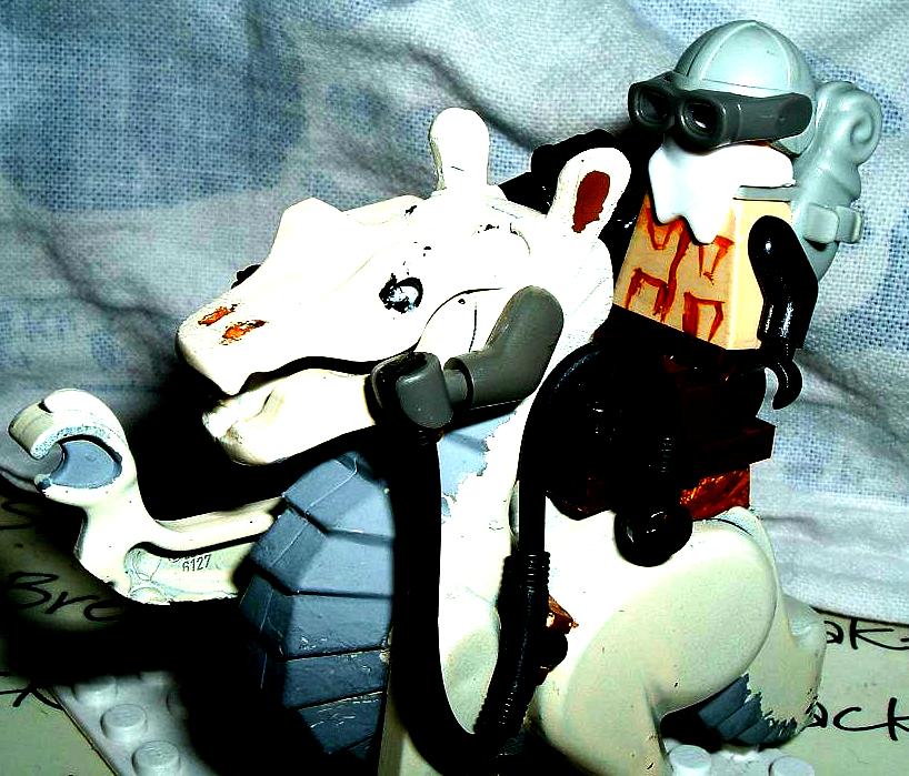 taun_taun_2.jpg
