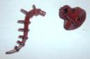 8893_bionicle_11.jpg
