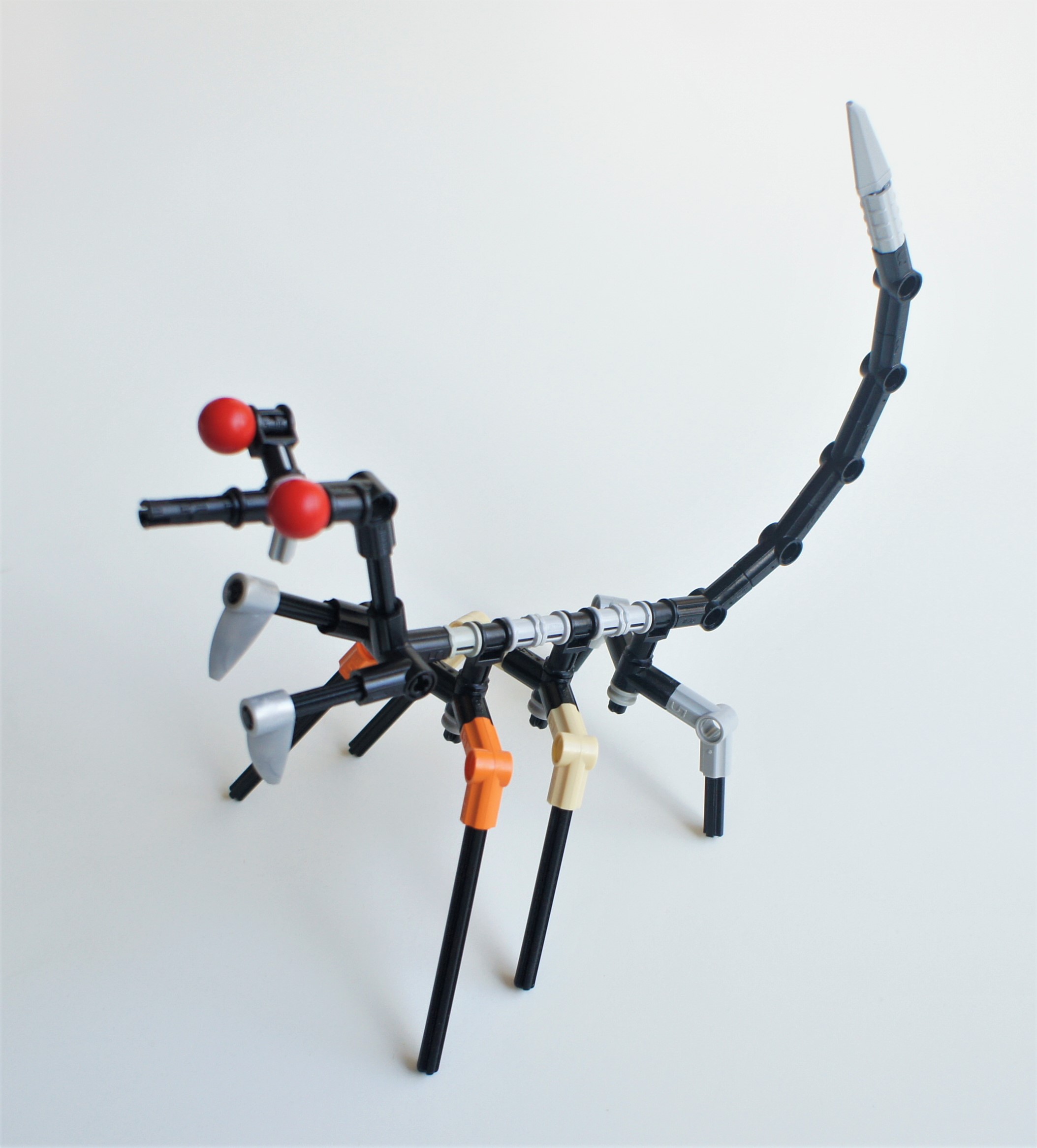 devouringmantis-1.jpg