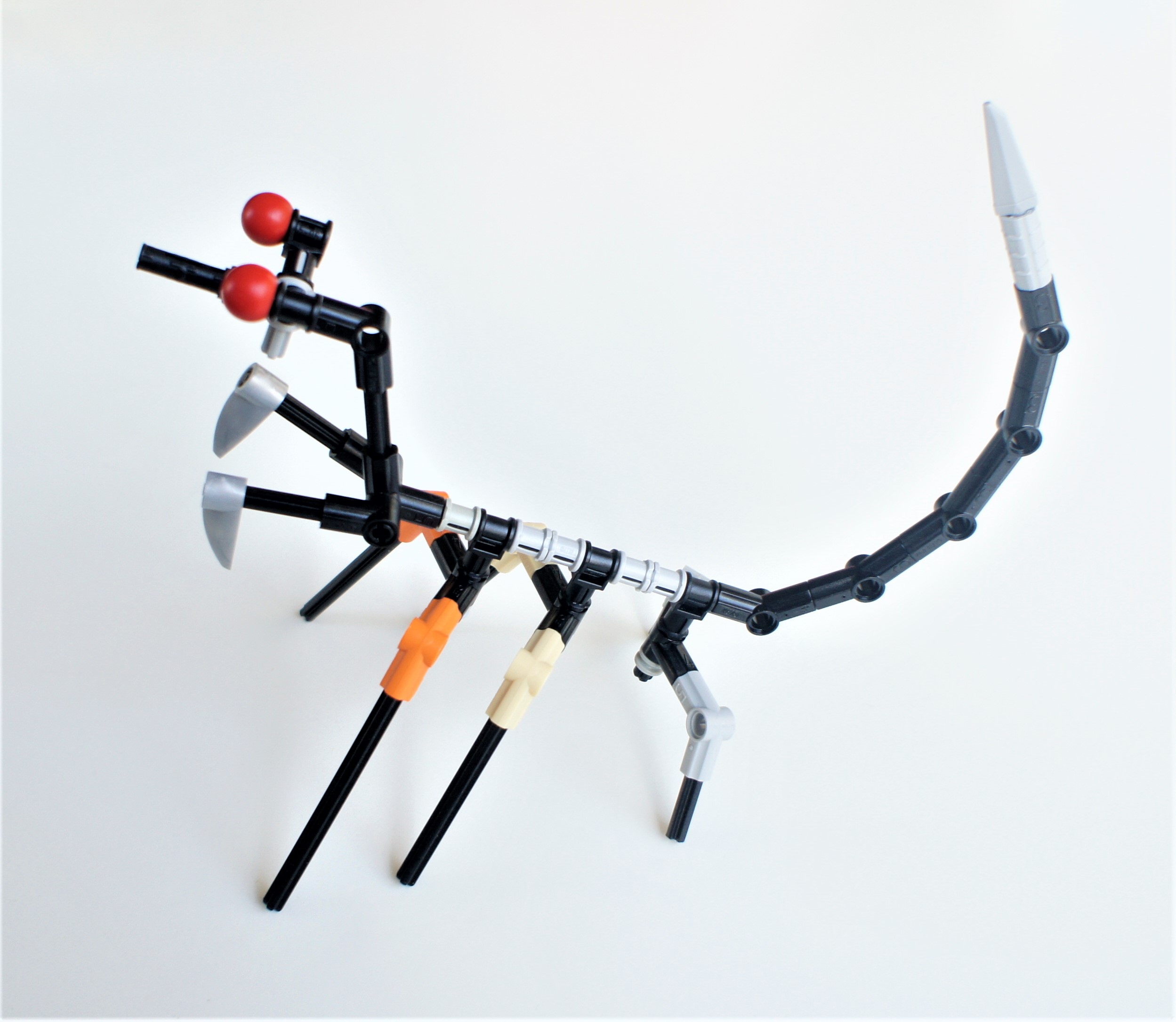 devouringmantis-2.jpg