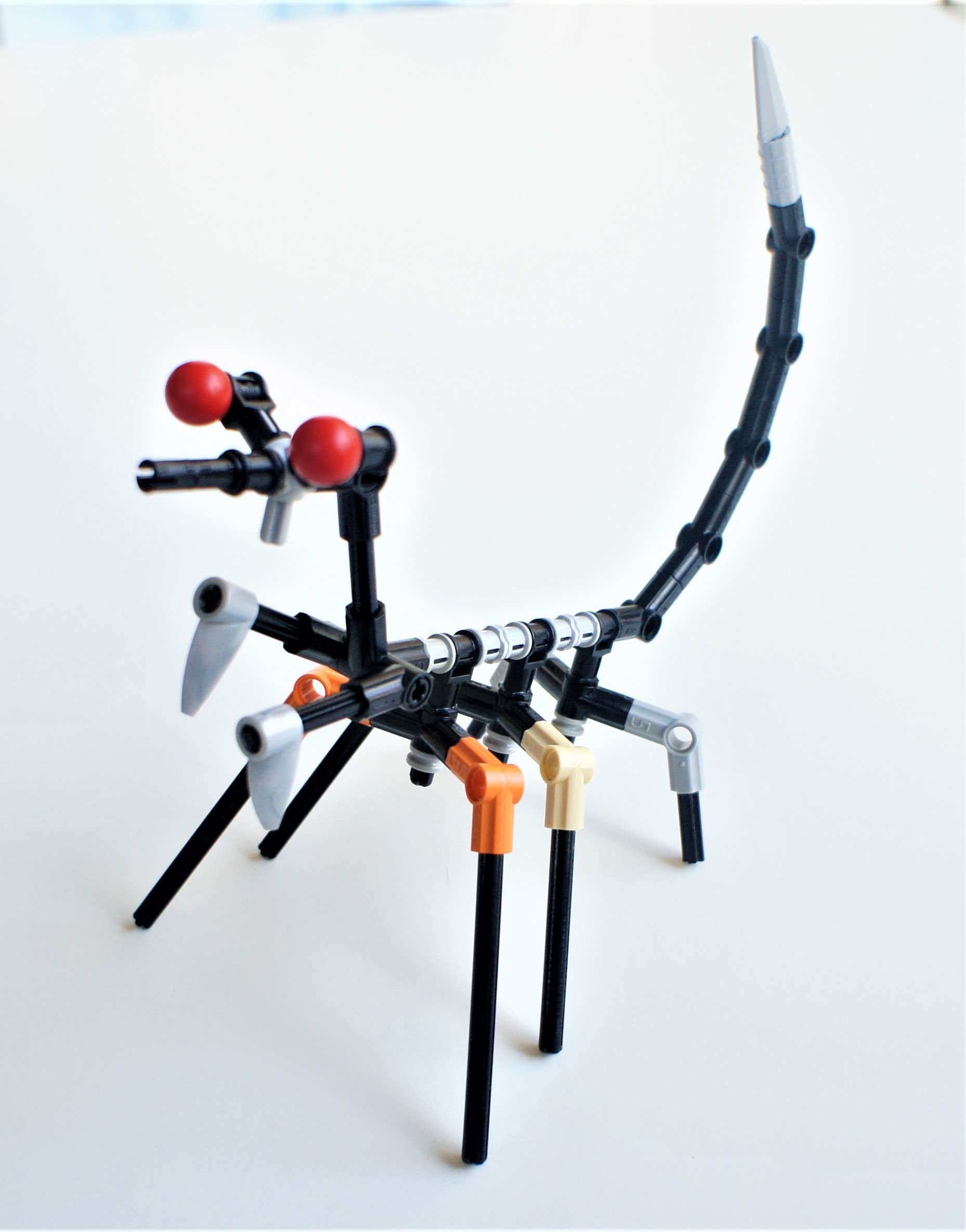 devouringmantis-3.jpg