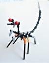 devouringmantis-3.jpg