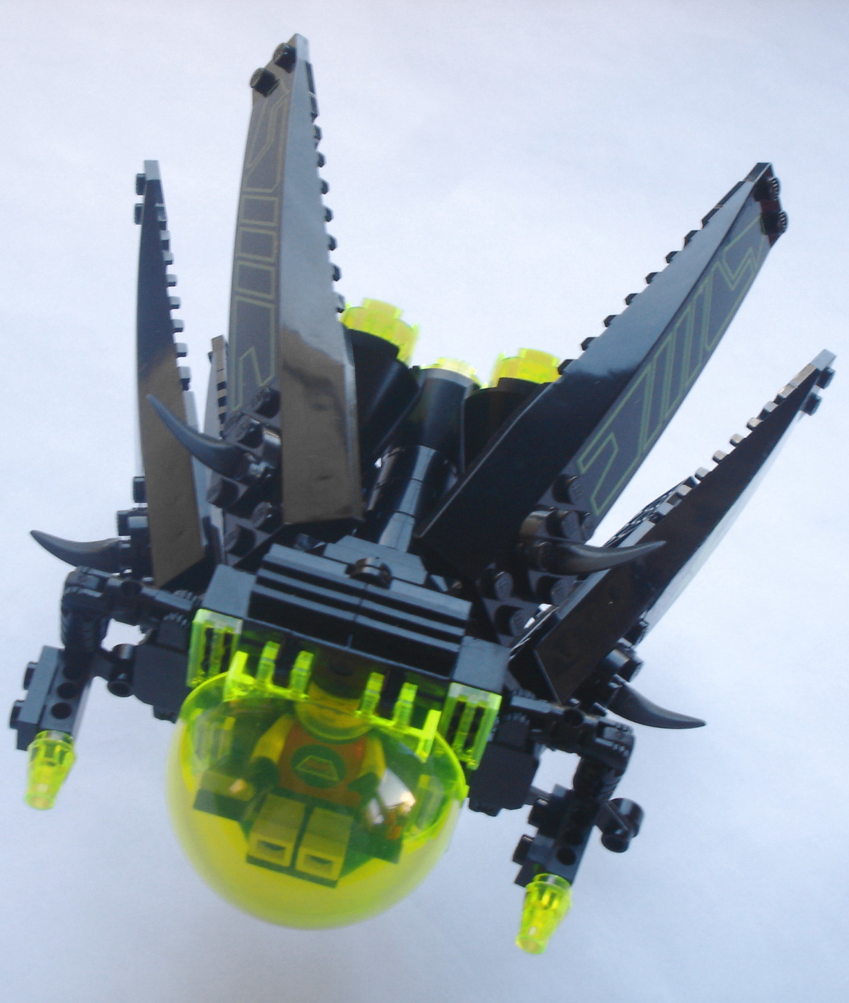 fly-03.jpg