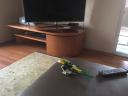 livingroom.jpg