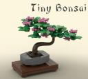bonsai-by_miro.jpg