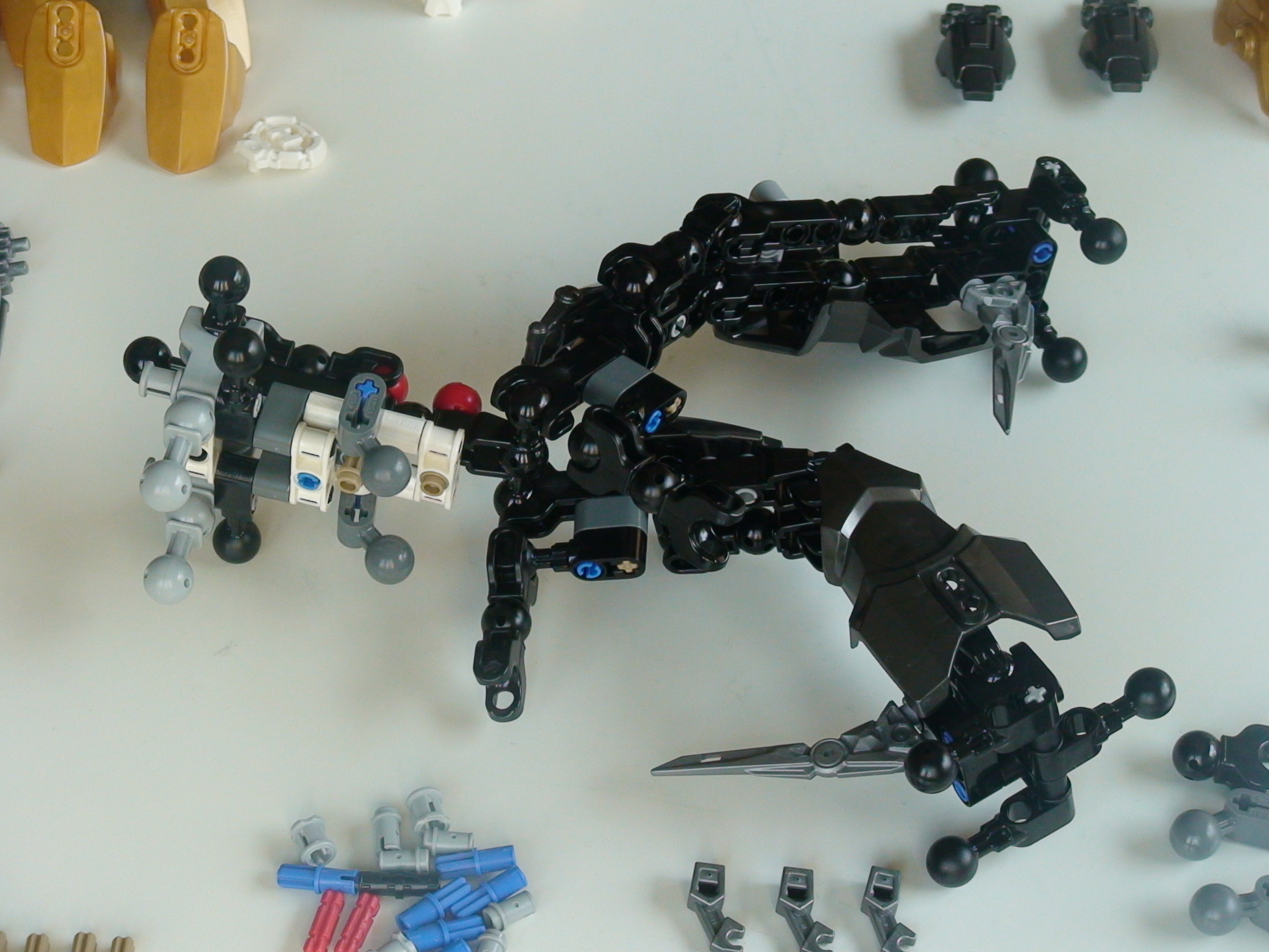 05-build.jpg