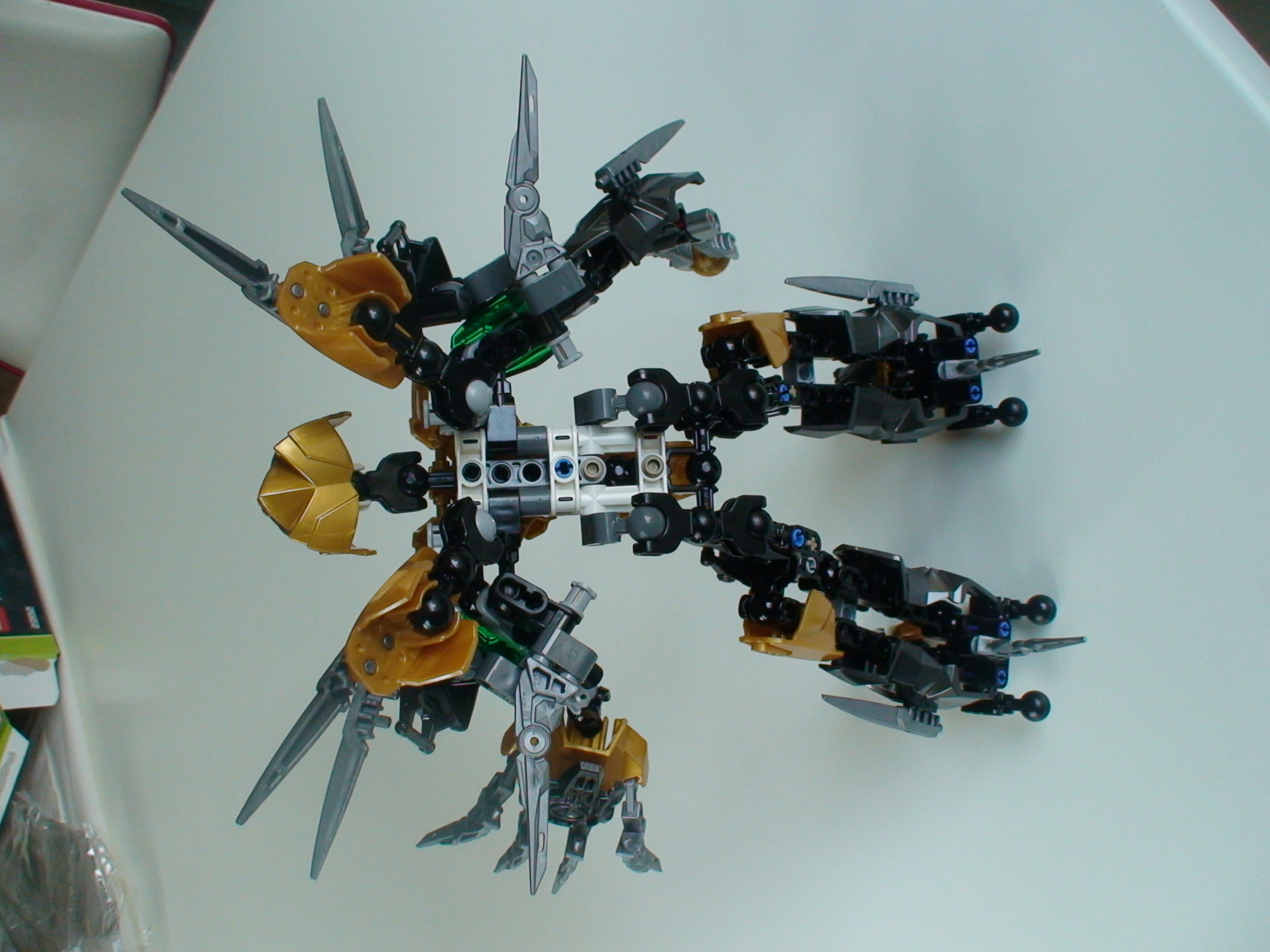 11-back.jpg