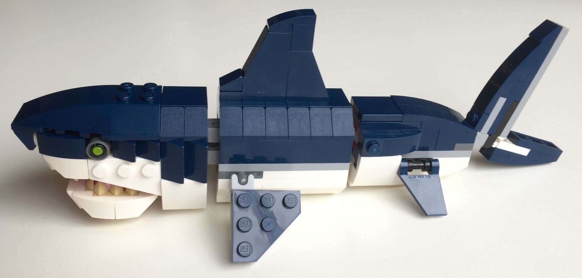 13b-shark.jpg