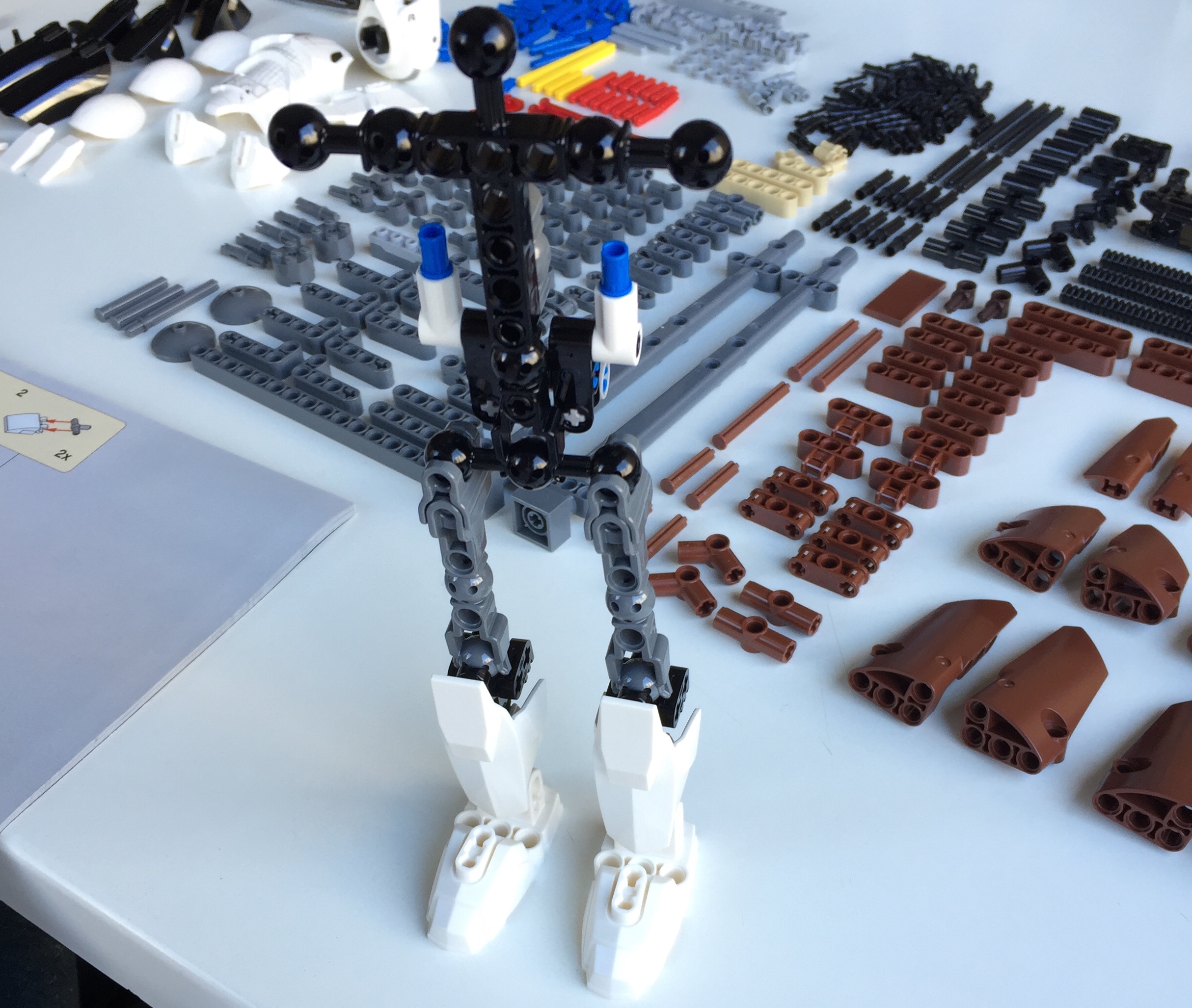 t01-skeleton.jpg