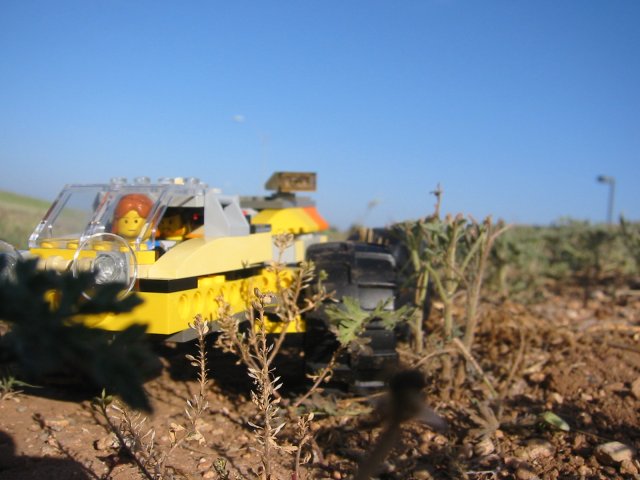 l01.jpg
